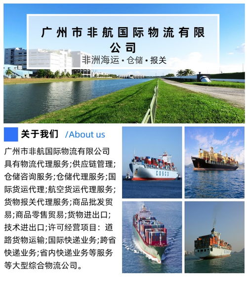 廣州至坦桑尼亞專線費用解析及數(shù)據(jù)處理服務(wù)